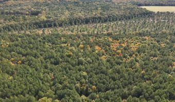 RT 317, Georgetown, DE 19947