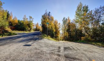 L9 Feodosia Drive, Anchorage, AK 99516