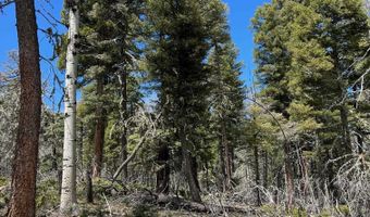 Lot 54 Vermejo Cir, Angel Fire, NM 87710