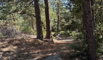 0 Ca-38, Angelus Oaks, CA 92305