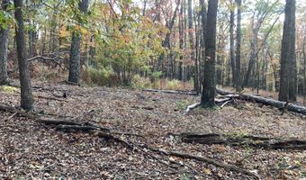 BIG HORN Trail, Augusta, WV 26704