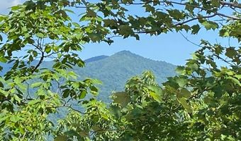 1621 Granny Squirrel Dr, Andrews, NC 28901