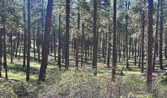 782 Hawks Meadow Dr, Bayfield, CO 81122