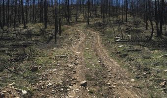 3600 Moondance Way, Bellvue, CO 80512