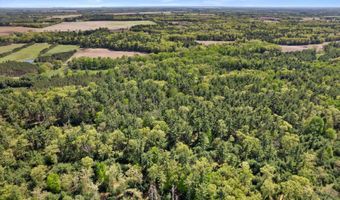 Chicago Avenue lot 2, Arkdale, WI 54613
