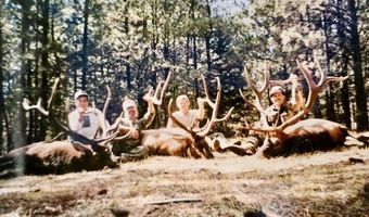 705 NM-120, Angel Fire, NM 87710