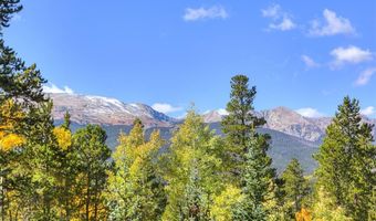 9 ROUNDS DR Rd, Breckenridge, CO 80424