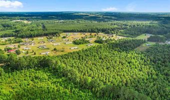 Daniels Lane lot 1-D, Bennettsville, SC 29512