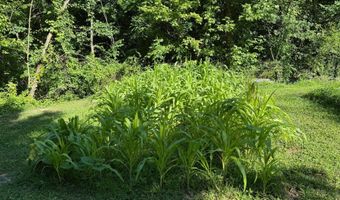 355 Lone Mountain Rd, Andersonville, TN 37705