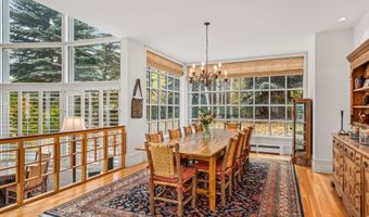 431 W Hopkins Ave, Aspen, CO 81611