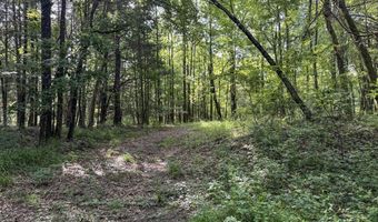 Pine Lodge Road, Batesville, MS 38606