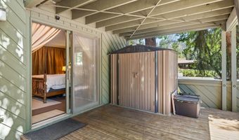 125 E Hyman Ave 1A, Aspen, CO 81611
