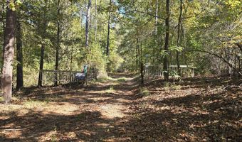 7501 Rainey Morris Rd, Appling, GA 30802