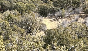 County Road 2550, Aztec, NM 87410