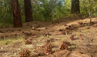 Tract B 266 Gallina Canyon Road, Valdez, NM 87580