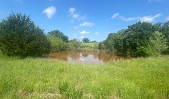 40335 S. Division St, Asher, OK 74826