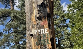 636 Mountain Center 35-0002, Mountain Center, CA 92561