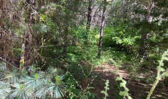 927 Bear Claw Rd, Clark Fork, ID 83811