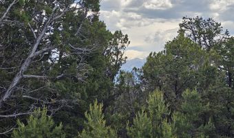 3221 Elk Springs Dr, Glenwood Springs, CO 81601
