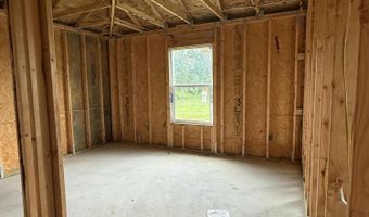 19298 Cressie Ln, Altha, FL 32421