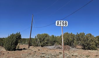 Tbd N8060, Concho, AZ 85924