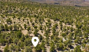 155 Oak Trail Cir, Cold Creek, NV 89124