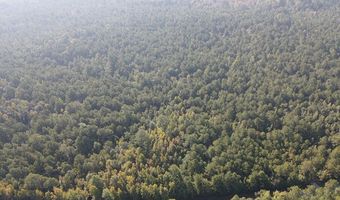 0 Markham Rd, Bradley, SC 29819