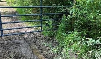 0 SHELTON Dr, Ball, LA 71405