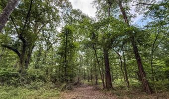 Old Moyers Road, Antlers, OK 74523