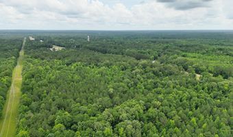 U.s. 49, Braxton, MS 39044