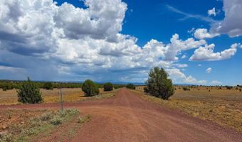 215 Gleed Station Rd Lot C 10 Acre, Ash Fork, AZ 86320