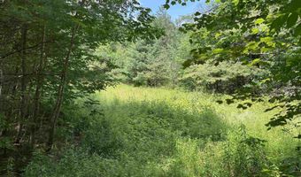 00 Simonsville Rd Lot 3, Andover, VT 05143