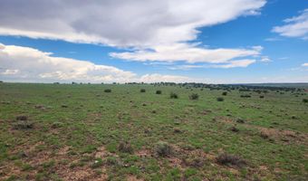 67 66 59 ACR N3377, Concho, AZ 85924