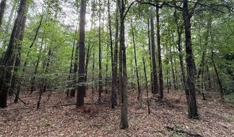 Airport Rd, Bastrop, LA 71220