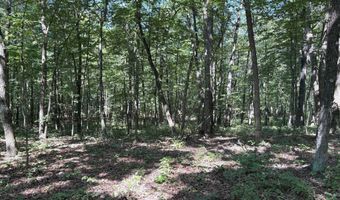 5 05 AC HOY Rd, Augusta, WV 26704