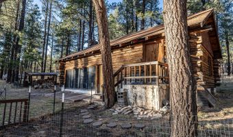 28 COUNTY RD. N2175 HULSEY LAKE RD., Alpine, AZ 85920