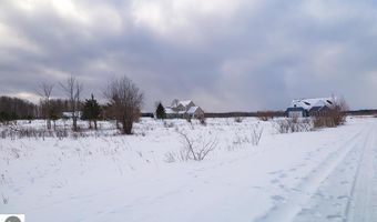 6412 Lora Bette Dr, Alanson, MI 49706