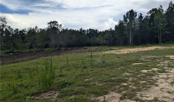 0 Lee Road 393, Auburn, AL 36832