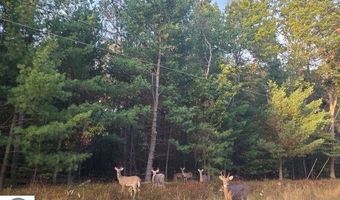 Buffalo Trail lot 36, Alger, MI 48610