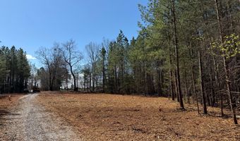 MOUNTAIN CUT RD lot B, Appomattox, VA 24522