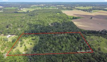 3749 SW 22nd Pl, Bell, FL 32619