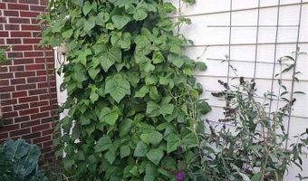 928 BLACK HILLS Ave, Alliance, NE 69301