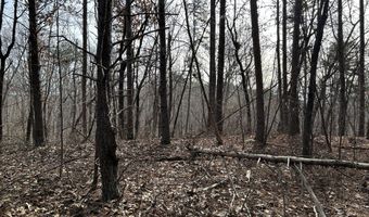 Highway 105, Baldwin, GA 30511