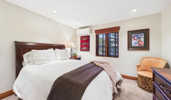 593 Meadowood Dr, Aspen, CO 81611