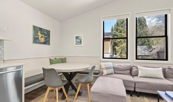 220 W Main St 201, Aspen, CO 81611