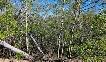 Nhn Alpha Lode & Alpha Fraction Lode Alpha Trail, Anaconda, MT 59711