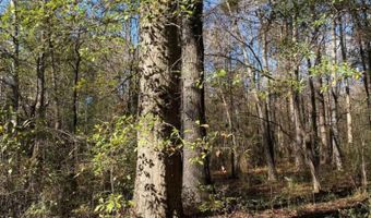 0 Shoal Creek Rd, Ashville, AL 35953