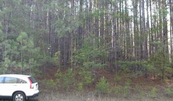 LAKE POINTE Dr, Arley, AL 35541