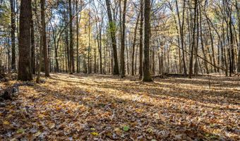 Lot 33 S Badger Lane, Arkdale, WI 54613
