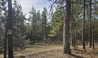 Seal Lane 8, Bonanza, OR 97623